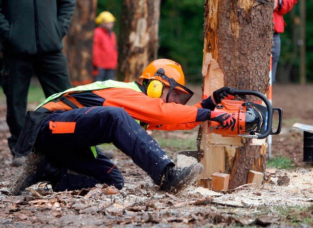 Knnen und Umsicht sind gefragt: Waldarbeiter beim Baumfllen.  | Foto: dpa