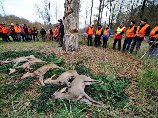 Fnf Rehe blieben auf der Strecke: Das...as Ergebnis der Drckjagd in Opfingen.  | Foto: Thomas Kunz