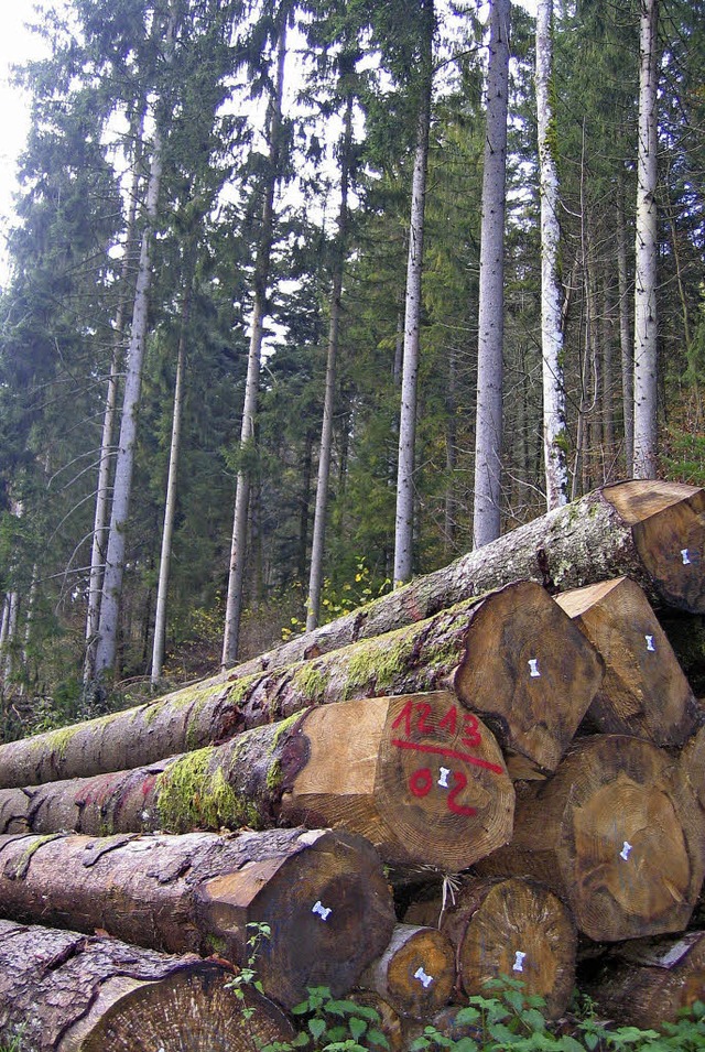 Solches Wertholz soll auch in den komm...r Sulzburger Gemeinderat entschieden.   | Foto: ingeborg grziwa