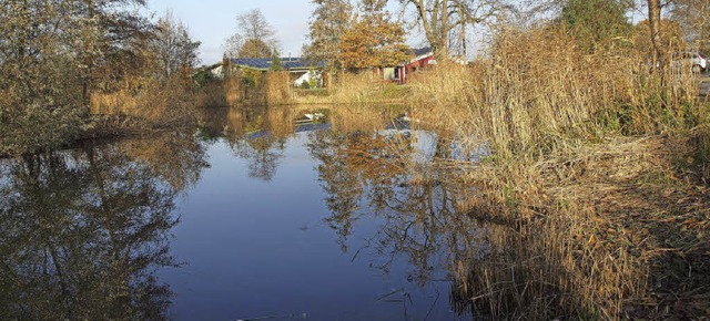 Der Gemeinderat hat den Pachtvertrag m... das betrifft  auch  den Angelweiher.   | Foto: MichAel Haberer