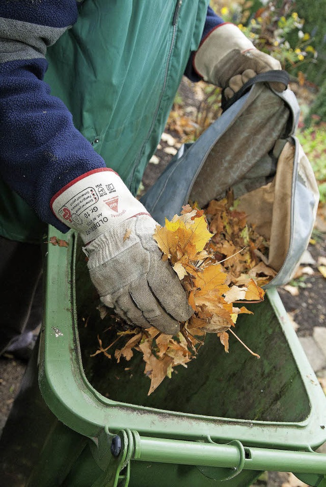 Wer keinen groen Komposter hat, kann ...und nach ber die Biotonne entsorgen.   | Foto: dpa