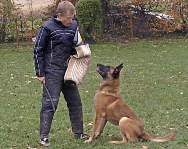 Pass auf: Sehr aufmerksam bewacht der Hund  den Figuranten Robin Kaltenbach   | Foto: Albert greiner