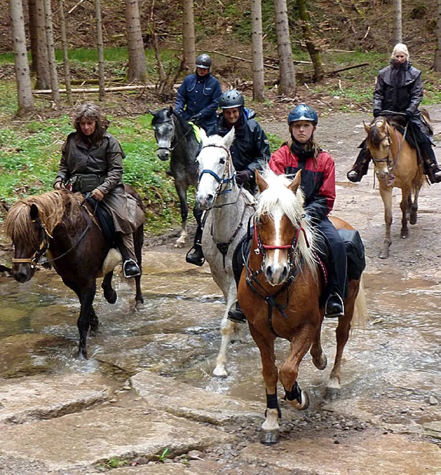 Der Ortenaukreis will das Wanderreiten frdern.   | Foto: lra