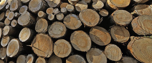 Fr Holz gibt es derzeit viel Kohle   | Foto: dpa