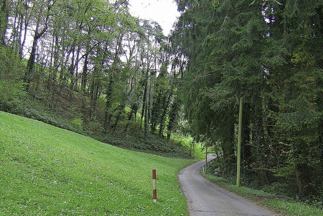 Teils reicht der Wald schon bis an die Strae. Noch mehr und es wird dunkel.   | Foto: ZVG