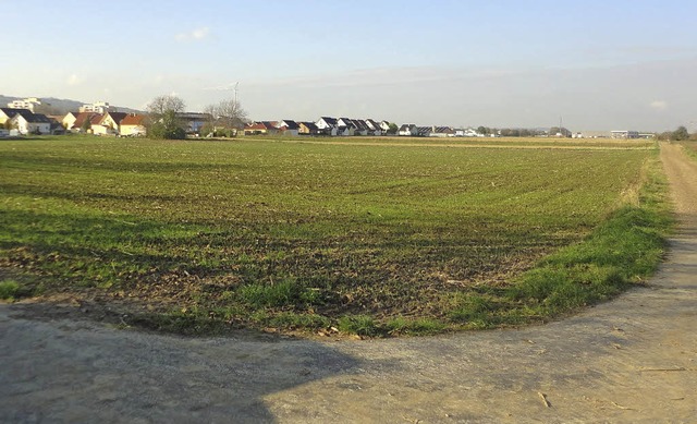 Auf diesen Flchen im Nordosten von En...en Funden im Erdreich zu rechnen ist.   | Foto: Stadt Endingen