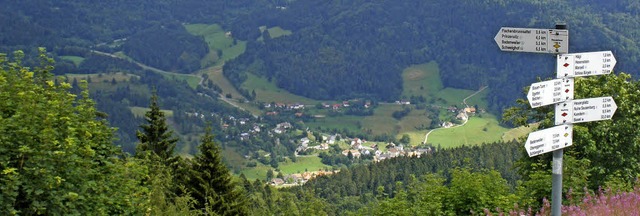 Blauenblick ins Kandertal  | Foto: Rolf-Dieter  Kanmacher