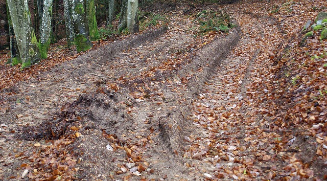Deutliche Spuren haben  Forstarbeiten auf Waldwegen in Rwihl hinterlassen.   | Foto: Werner Probst