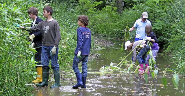 Naturschutz Projekte  | Foto: Jutta Schtz