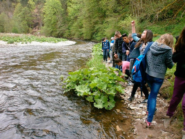 Anstrengend war&#8217;s, aber doch auc... Die Klasse 8i in der Wutachschlucht.   | Foto: Privat