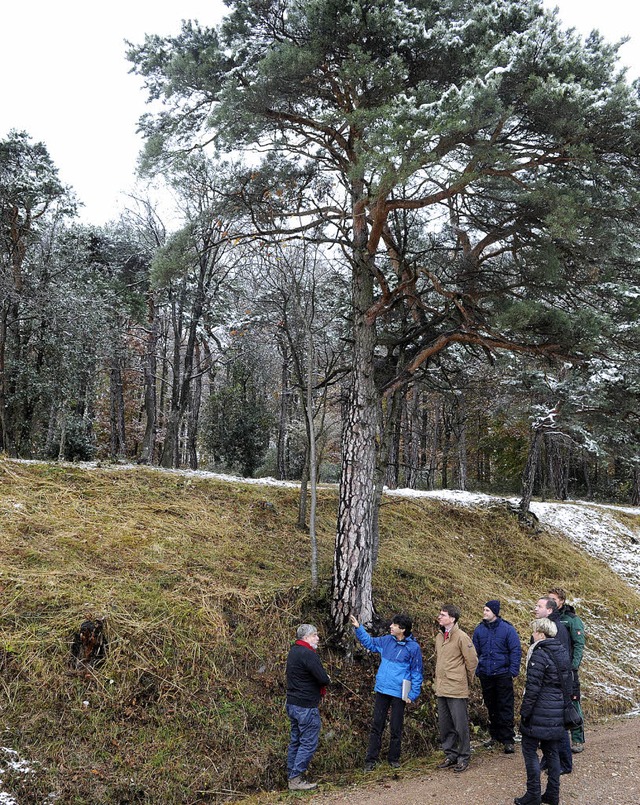 In Feldberg stellte LEV-Geschftsfhre...ses, Martin Barth, zwei Projekte vor.   | Foto: Mnch