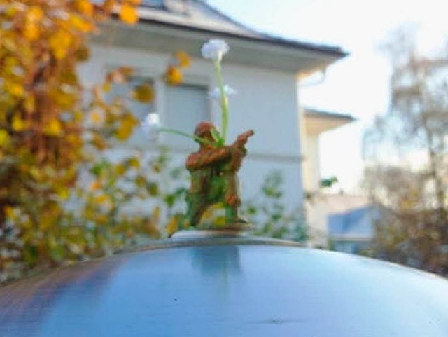Ein kleiner Soldat ziert einen Mlleimer in Bad Sckingen.  | Foto: Privat