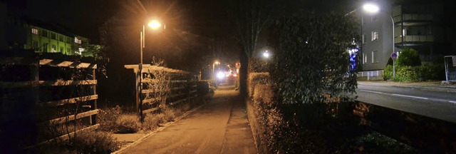 &#8222;In der Nacht wrde ich da nicht...n Rosengarten entlang der Stadtmauer.   | Foto: Seller