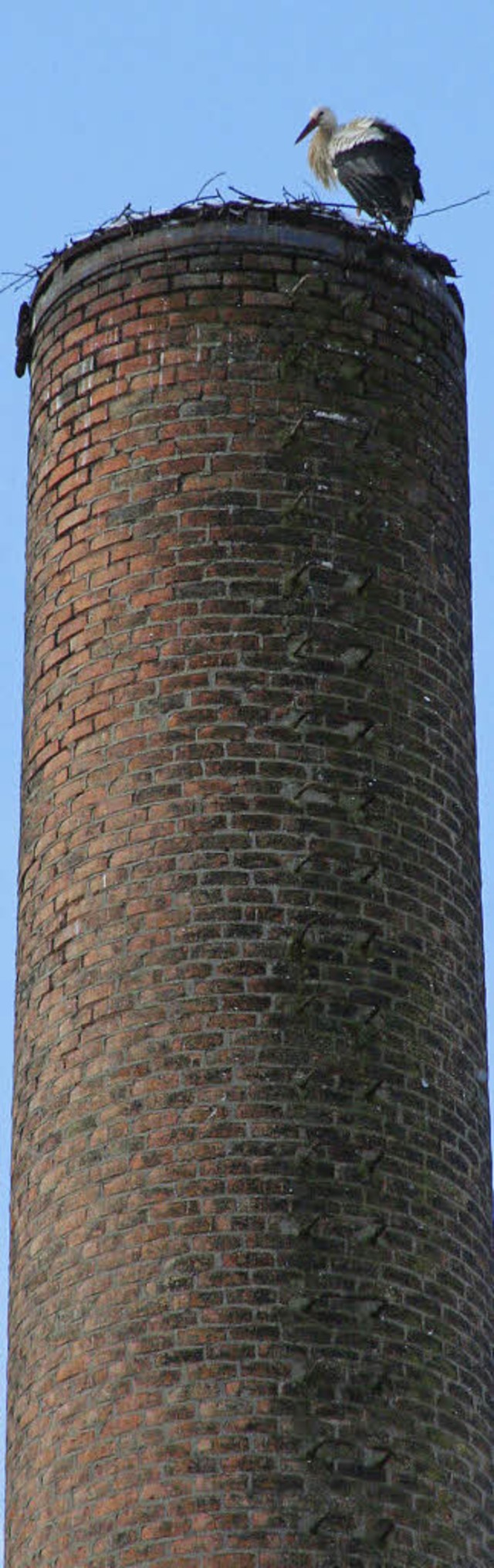 Der alte Kamin in Fahrnau, auf dem sei...rche brten, soll abgerissen werden.   | Foto: Jung