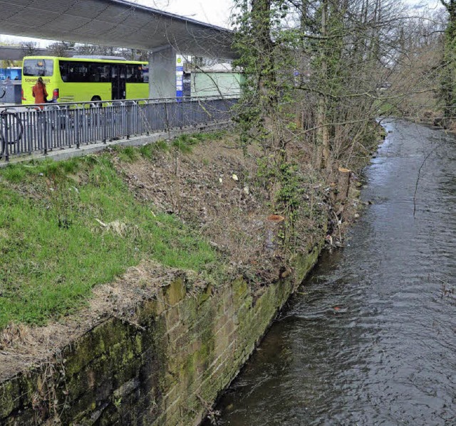 Der Hochwasserschutz am Ufer des  Brettenbachs soll verstrkt werden.  | Foto: Gerhard Walser