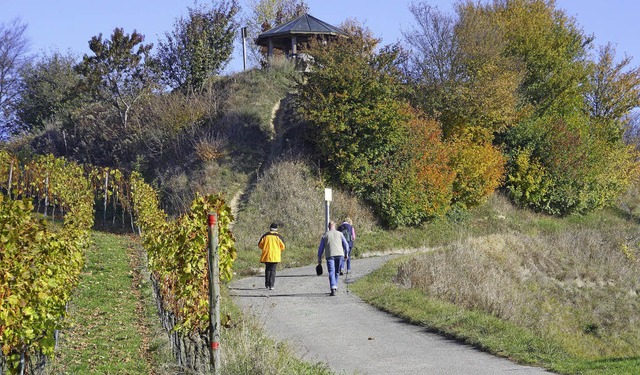 Vor allem fr seine schne Landschaft und Natur ist der Kaiserstuhl bekannt.  | Foto: hans-peter ziesmer