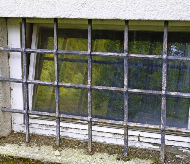 Fenster zum Keller mit Auenspiegelung. Thomas Mutter  | Foto: Thomas Mutter
