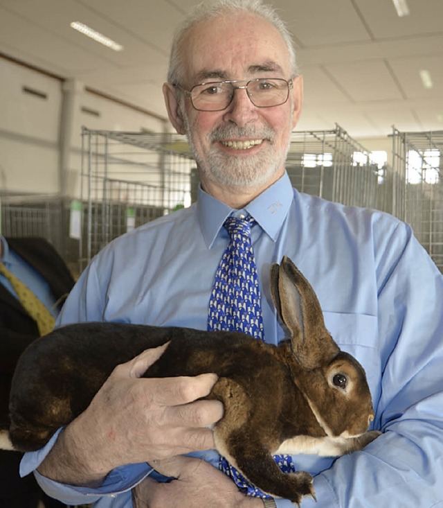 Willi Hartenbach mit einem Castor-Rexe-Kaninchen.   | Foto: Sigrid Umiger