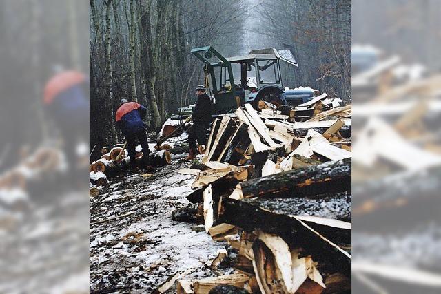 Keine Engpsse beim Holz