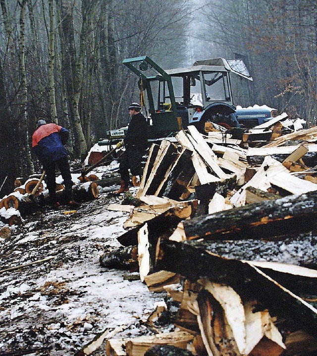 Ob fertiges Brennholz oder Schlagraum:...r Waldwirtschaft kein Mangel an Holz.   | Foto: bz