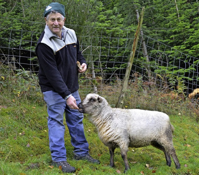 In Bernhard Schulers Plantage befreien...hafe  die Nordmanntannen vom Unkraut.   | Foto: Valentin Gensch, dpa