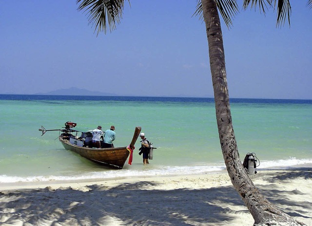 Strand, Palme, Meer: Die Touristenhoch...on den Protesten verschont geblieben.   | Foto: dpa