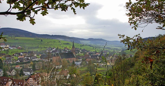 Schne Landschaft reicht nicht:  Hadem...Naturerlebnispfad in Oberharmersbach.   | Foto: Anselm Busshoff