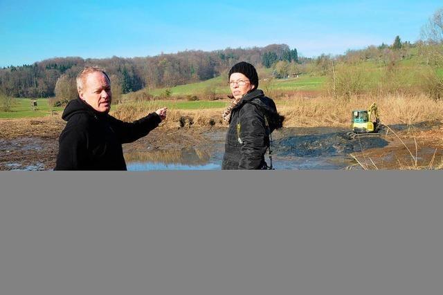 Dem Schlossweiher ging die Luft aus