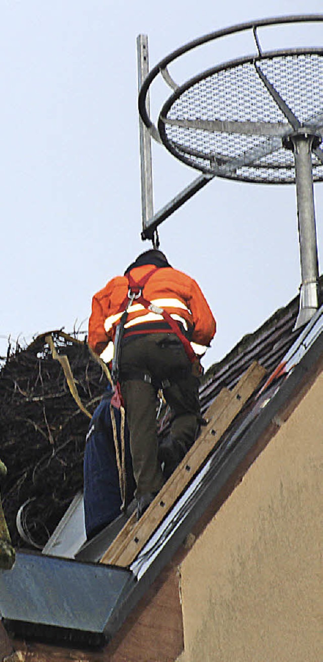 Nachdem das neue Nest (Stahlkonstrukti... Nest fr den Abbau vorbereitet werden  | Foto: Pia Letter-Hirsch