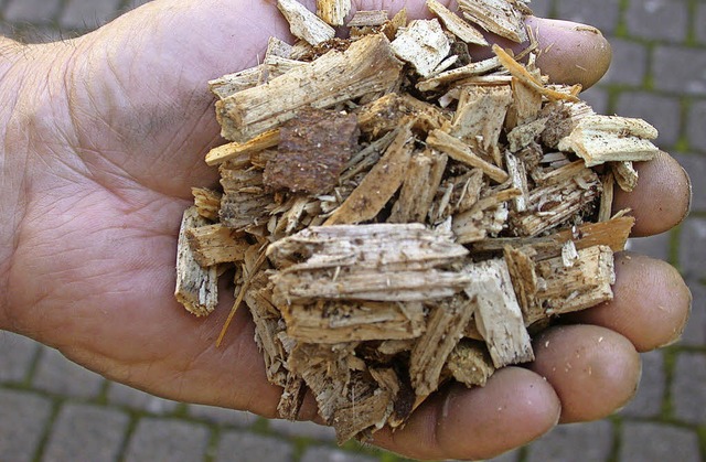 Heizen mit Holzhackschnitzel scheint a..., wie die Interessentenzahlen belegen.  | Foto: silvia Faller