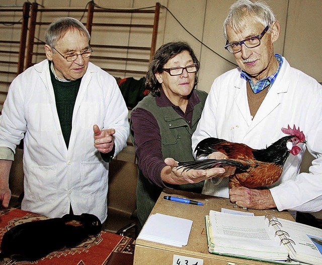 Die Preisrichter bei ihrer Arbeit.   | Foto: Sandra Decoux-Kone