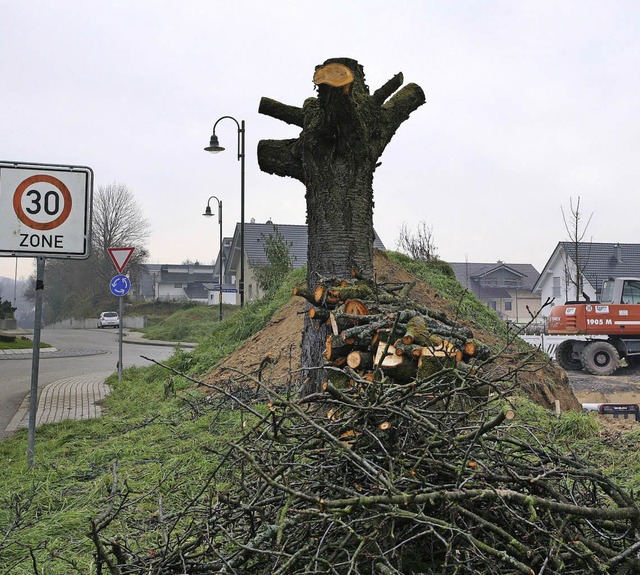 Die todgeweihten Reste des schnen Kirschbaums   | Foto: B. Henning