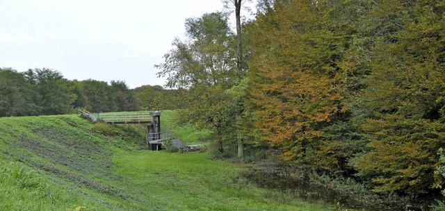 Umkirch und Gottenheim mssen das Rck...d den Bedarf an Waldflchen betrifft.   | Foto: julius steckmeister