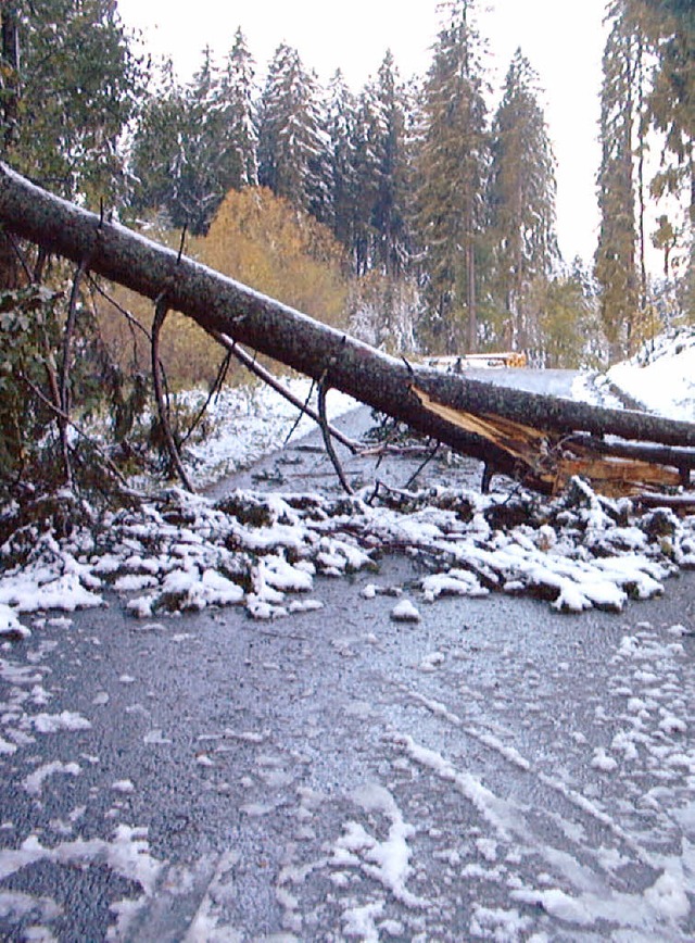 Baum versperrt Strae im Hochschwarzwald.  | Foto: Peter Stellmach