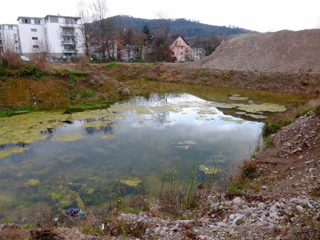 Wo einmal das &#8222;Solartor&#8220; s...mmeln sich derzeit Schutt und Wasser.   | Foto: Andrea Gallien/Tanja Bury