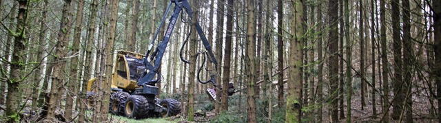 Der eingesetzte Vollernter wird in Sim...en. Die Flche gehrt 6 Waldbesitzern.  | Foto: Gerda Oswald