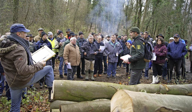 7,7 Ster Ahornholz wurden in Huttingen... 30 Prozent ber dem Anschlagsspreis.   | Foto: Schopferer