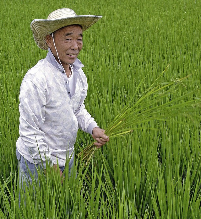 Dieser japanische Reisbauer geniet in Zukunft weniger Schutz vor Konkurrenten.  | Foto: dpa