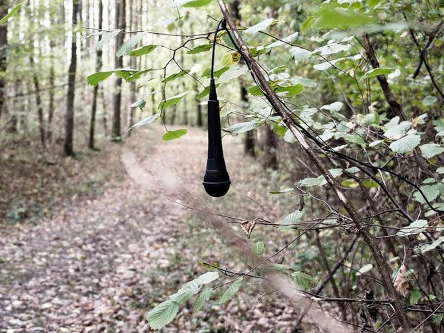 Aus Protest gegen die NSA hat Florian Mehnert Mikrofone im Wald aufgehngt.  | Foto: Florian Mehnert