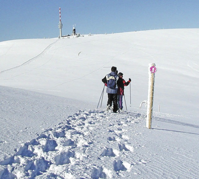 Spuren im Schnee  | Foto: ZVG