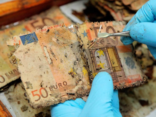 So ruiniert wie diese Geldscheine ist die Eurozone nicht.    | Foto: dpa, Privat