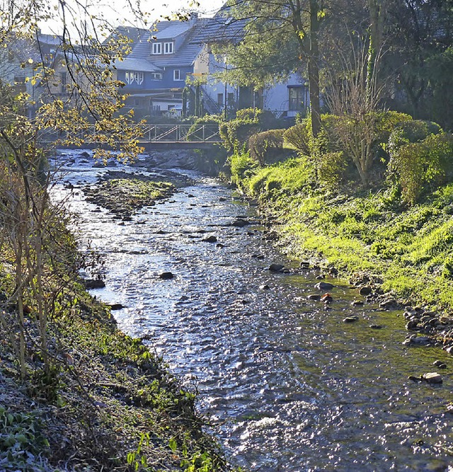 Hochwasserschutz  | Foto: Andrea gallien