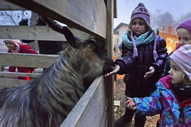 So macht Advent tierisch viel Spa