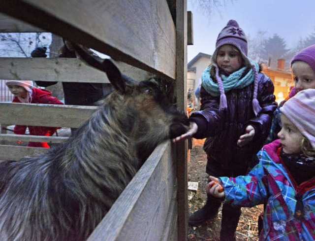 Die Leckerli fr die Ziegen finden reienden Absatz.  | Foto: Michael Bamberger