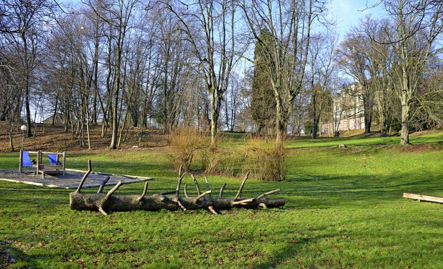 Auf diese Flche in der Badmatte kommt...tes eine Kletter-Schaukel-Kombination.  | Foto: michael krug