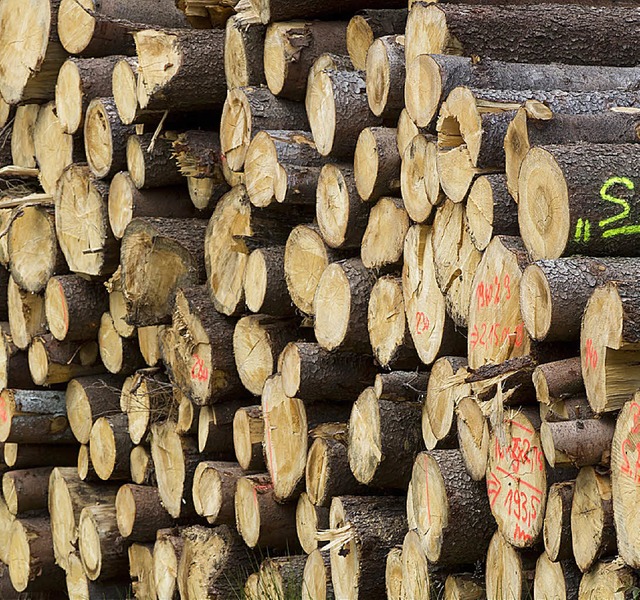 Im nchsten Jahr sollen in Kippenheim 4500 Festmeter Holz geschlagen werden.   | Foto: dpa