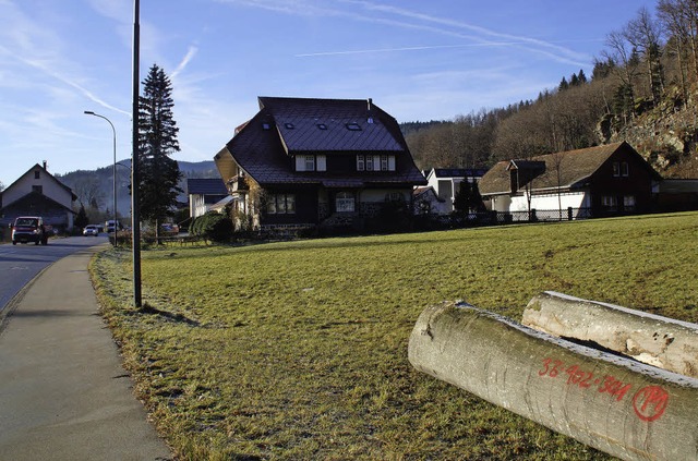 Bernd Gritsch gehrt diese Flche. Im Hintergrund die EWS   | Foto: wehrle