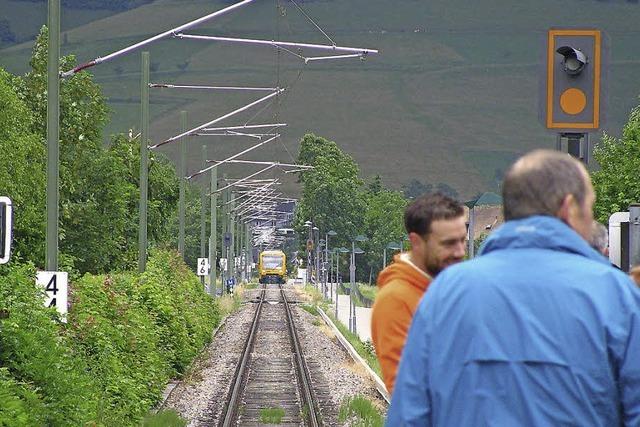 Eine breitere Hecke entlang der Bahnlinie