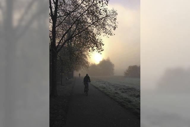 Schwachstellen werden beseitigt