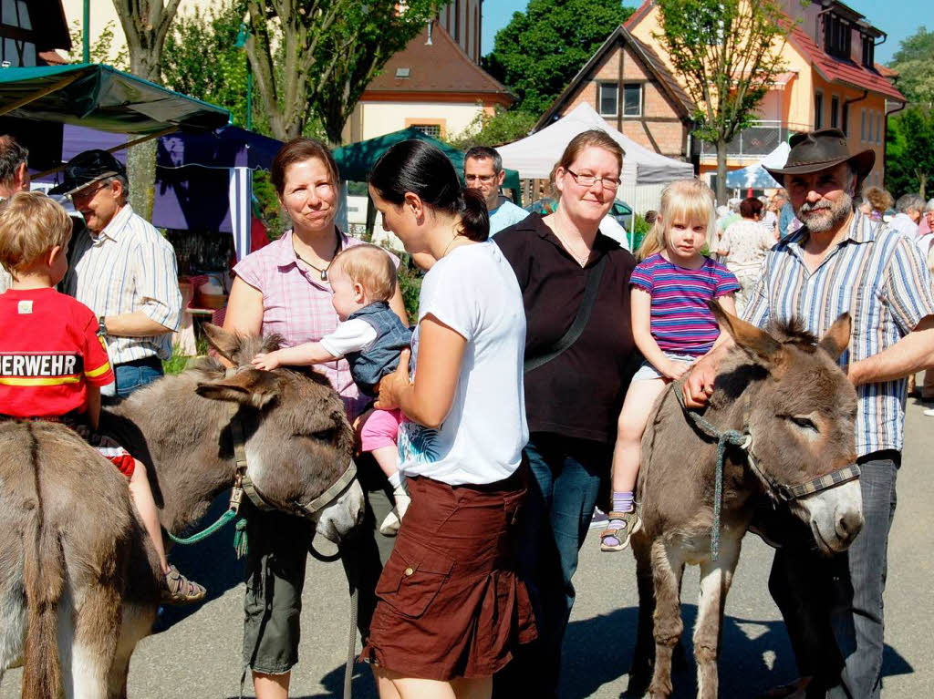 Ein Highlight des Niederschopfheim er Bauernmarkts ist Martin Ehret (rechts) mit den Eseln Mona und Luna